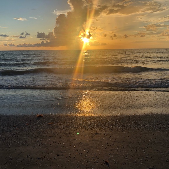 Meet your Posher, LCM - Picture 2 of 2